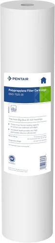 Pentair Pentek DGD-7525-20 Filtro de Agua Big Blue, Repuesto de Cartucho de Filtro de Sedimentos de 20 Pulgadas para Toda la Casa, Polipropileno