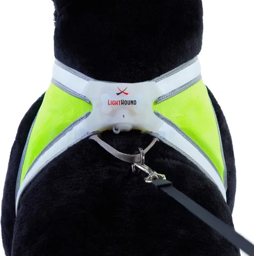 Miniatura 7 de Noxgear lighthound Revolucionario iluminado y reflectante arnés para perros incluso multicoloreado fibra óptica LED