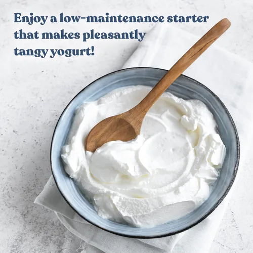 Miniatura 3 de Cultures for Health Cultivo de inicio de yogur tradicional 4 paquetes de inicio termófilo de ajuste directo Maquillar hasta 12 tazas de yogur