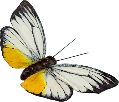Miniatura 6 de Juego de Adornos Artificiales de Plumas en 3D Mariposa para Fiesta, Juego de 12 Adornos de Color para Árbol de Navidad(C)