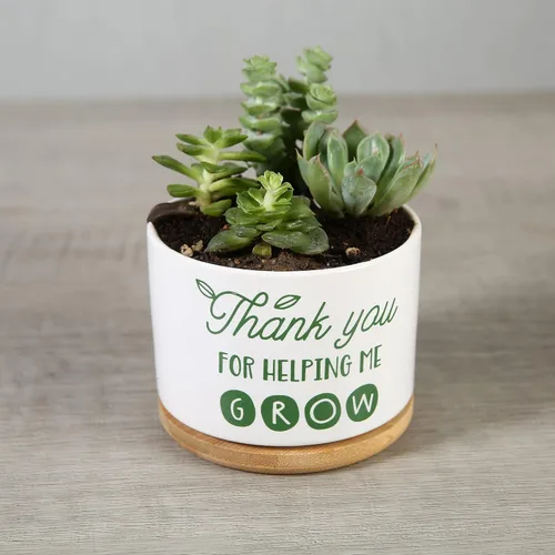 Miniatura 5 de DOMG Regalo de Apreciación para Maestros, Maceta de Cerámica para Suculentas Pequeña Maceta de Flores para Uso en Interior y Exterior, Gracias por