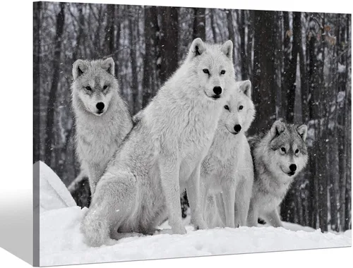 Miniatura 7 de Sea Whisper - Lienzo de arte de pared de vida silvestre, lobo en la hierba con ojos firmes, naturaleza, bosque, escena de parque, pintura artística