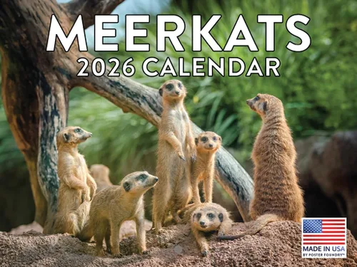 Miniatura 156 de Calendario alpaca 2026, calendario mensual de pared de 12 meses Hecho en Estados Unidos.