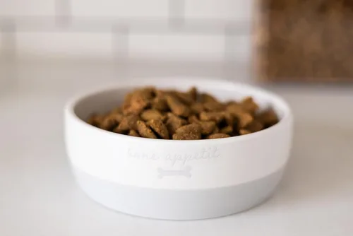 Miniatura 9 de Pearhead Ceramic Bone Appétit - Cuenco para perros, capacidad para 2 tazas, plato de gres para alimentos y agua, comedero para mascotas gris y Tazón