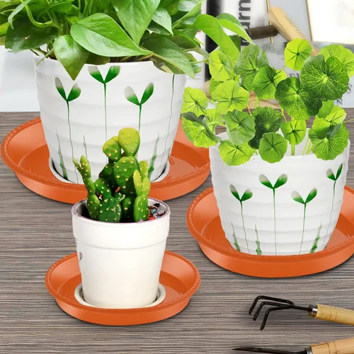 Miniatura 4 de SupKing Paquete de 9 Platillos para Plantas (6 pulgadas /8 pulgadas /10 pulgadas), Bandejas Resistentes y Robustas para Plantas, Bandeja