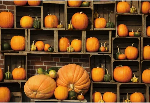 Miniatura 8 de Telón de fondo de otoño de 5 x 3 pies para sesión de fotos, tablero de madera de otoño para fotografía, decoración de pared de Acción de Gracias