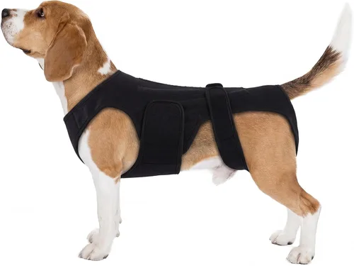 Miniatura 11 de Soporte de espalda para perros con artritis, soporte de espalda de movilidad IVDD para mascotas, fuerte apoyo de estabilidad de la columna vertebral