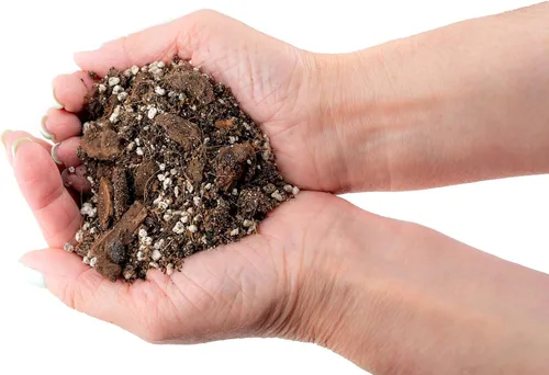 Miniatura 2 de Gardenera Mezcla prémium para macetas Aroid - 2 cuartos de galón - Mezcla libre de tierra para Aroids - Medio de cultivo para plantas