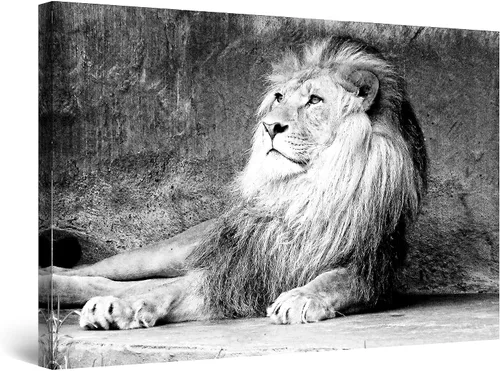 Miniatura 12 de Startonight Lienzo decorativo para pared, diseño de león en colores, listo para colgar, para sala de estar, imagen grande, decoración de pared