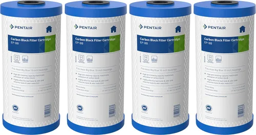 Pentair Pentek EP-BB Big Blue - Filtro de agua de carbono, 10 pulgadas, cartucho de repuesto de bloque de carbono para toda la casa con filtro de