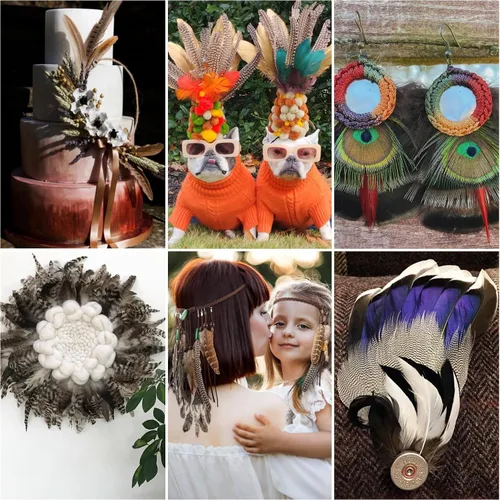 Miniatura 6 de Holmgren 24 piezas de plumas naturales al por mayor - 6 estilos surtidos de pavo real, faisán, pavo para manualidades, joyería DIY, sombreros