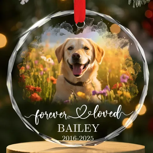 Miniatura 27 de FLOCHIL Adornos de Navidad Personalizados para Gatos Adornos de Navidad Personalizados con Foto y Nombre para Árboles de Navidad, Adornos de Navidad