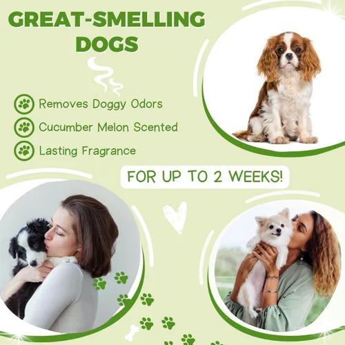 Miniatura 5 de All Stages - Juego de champú y acondicionador natural para perros con aloe vera pH equilibrado, champú y acondicionador para perros, champú