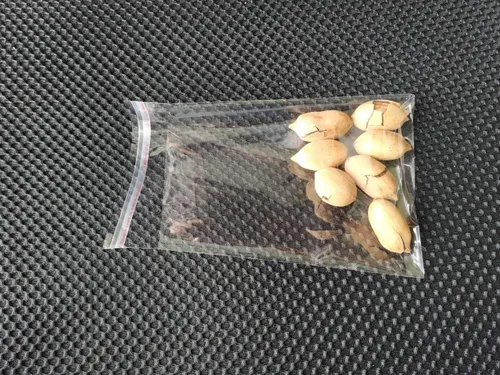 Miniatura 3 de JOSDIOX - Bolsas de polietileno de plástico resellables de celofán transparente de 4 x 6 pulgadas para fotos, joyas, panadería, golosinas, recuerdos