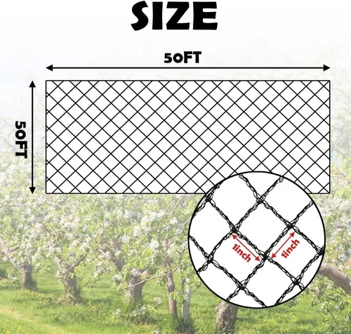 Miniatura 2 de Meanchen Red para pájaros para jardín de 50 x 50 pies, red de jardín de malla de 1 pulgada, red de ciervos resistente, protege plantas vegetales