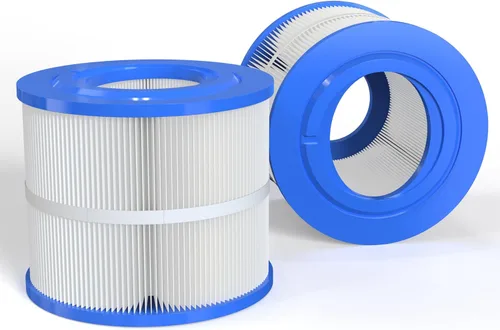 ROYOR Wellspring 10-00282 Bullfrog - Cartucho de repuesto para filtro de spa compatible con filtro Bullfrog SPA, filtro de repuesto para bañera de