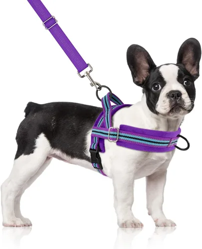 Miniatura 17 de SlowTon - Juego de arnés y correa para perros pequeños sin tirones, chaleco suave ajustable para cachorros para el cuello y el pecho, arnés