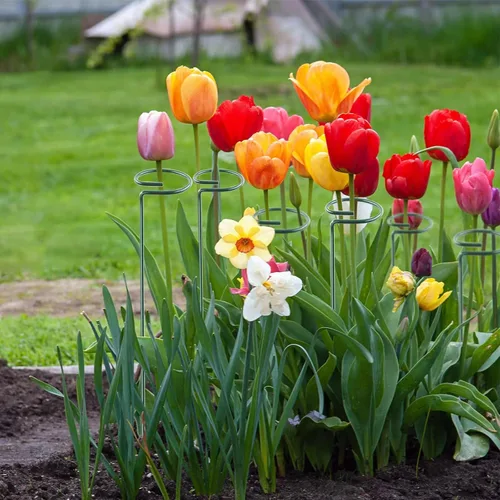 Miniatura 8 de Thealyn Paquete de 20 aros de soporte para plantas de 36 pulgadas, para jardín, de un solo tallo, para flores, orquídeas, tomates, peonía, lirio, 36