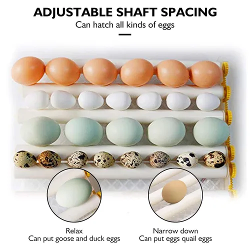 Miniatura 3 de Incubadora de huevos – Incubadora de huevos con giro automático de huevos y control de humedad, criador grande de aves de corral para pollos