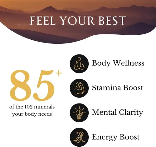 Miniatura 4 de Super Natural Goods Resina Shilajit de alta potencia nutricional, grado A con más de 85 minerales derivados de plantas y ácido fúlvico, energía e