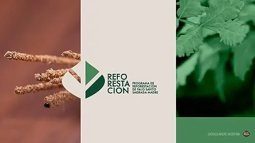 Miniatura 5 de Sagrada Madre Palitos de incienso Palo Santo – Varillas de manchas naturales para limpieza, meditación, relajación – Vegano, combustión lenta, bajo
