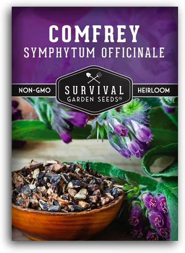 Miniatura 10 de Semillas de consuelda para plantar, Symphytum Officinale Hierba medicinal perenne para té de abono y cuidado de la piel natural, raíz resbaladiza