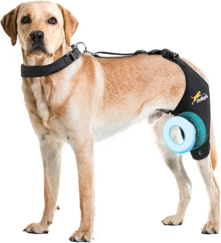 Miniatura 15 de Rodillera para perro para pierna trasera desgarrada del ligamento cruzado anterior, compresión caliente/fría para luxación de rótula u