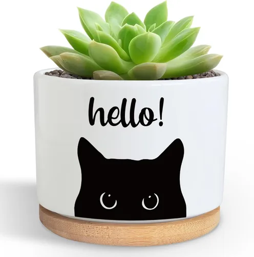 Miniatura 10 de DOFAFALA Maceta Graciosa para Suculentas, Maceta para Cactus, Regalos de Flores, Regalos Inspiradores de Apreciación para Amantes de Plantas, Nunca