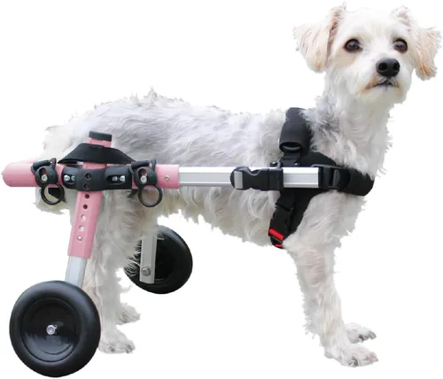 Miniatura 9 de Walkin' Wheels Silla de ruedas para perros pequeños, silla de ruedas ligera para patas traseras, 15-25 libras, para altura de pierna de 9-11 Azul