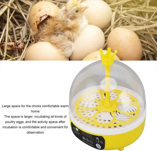 Miniatura 9 de Yosoo Incubadora de pollo, mini incubadora de huevos para incubar 4 huevos, criador de huevos portátil para pollo, pato, ganso, con ventana