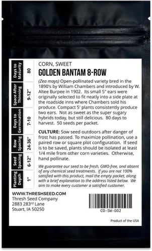 Miniatura 4 de Golden Bantam - Maíz dulce de 8 filas – 4 onzas a granel (~425 semillas) – Variedad de reliquia amarilla, cultivadas en Estados Unidos, semillas