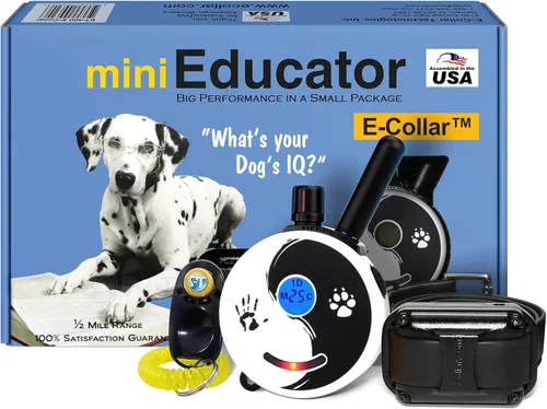 Miniatura 12 de Educator ET-302 Collar Mini Negro E para Adiestramiento de Perros con Control Remoto - Alcance de 1/2 Milla, Resistente al Agua, 100 Niveles