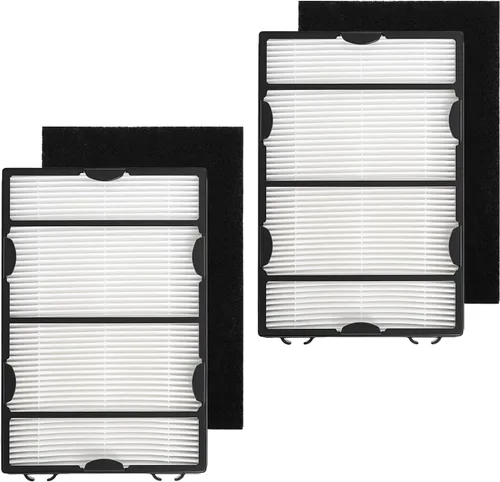 Filtro HAPF600 compatible con Holmes HAPF600D HAP615 HAP625 HAP650 HAP675RC HAP725 HAP750 HAP1625 HAP1650 HAP1725 HAP1750 HAPF600 B 106773 Filtro de