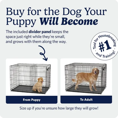 Miniatura 3 de MidWest Homes for Pets - Jaula para perros iCrate de una puerta, mejorada, incluye bandeja a prueba de fugas, patas protectoras de pisos, panel