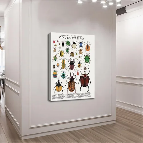 Miniatura 2 de Póster de lienzo de animales para pared, imágenes de animales, guía de coleópteros, insectos, escarabajos, impresiones de conocimiento, estética