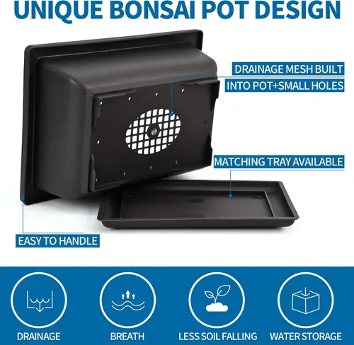 Miniatura 4 de Kit de inicio de Bonsái Sproutix, 5 semillas que crecen en Acacia, Glicinia, Sakura, Arce Rojo y Pino Negro, Incluye herramientas de jardinería