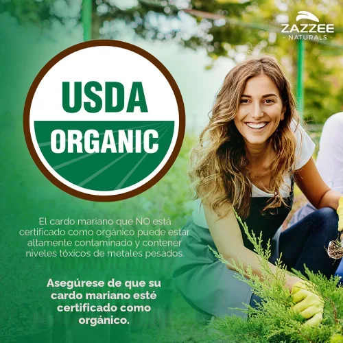 Miniatura 2 de Zazzee Extracto de Cardo Mariano Orgánico USDA 30:1, 7500 mg de Potencia, 120 Cápsulas Veganas, 80% Flavonoides de Silimarina, Extracto