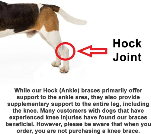 Miniatura 7 de Doggie Stylz Soportes de pierna de perro para pierna trasera, ajustable, para recuperación de desgarros, artritis, soporte de movilidad de primera