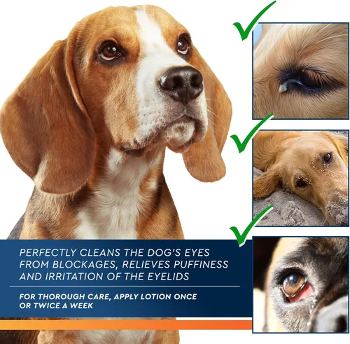 Miniatura 3 de All Pets - Gotas de lavado de ojos para aliviar el ojo rosado, síntomas de alergias, infecciones y ojos secos y húmedos, tratamiento sin dolor que