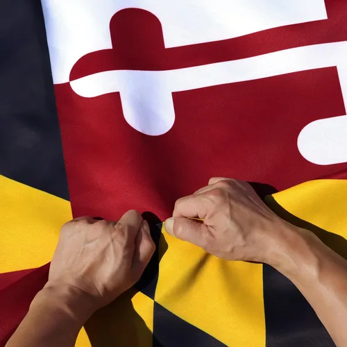 Miniatura 9 de Bandera con los estados de EE.UU., Maryland