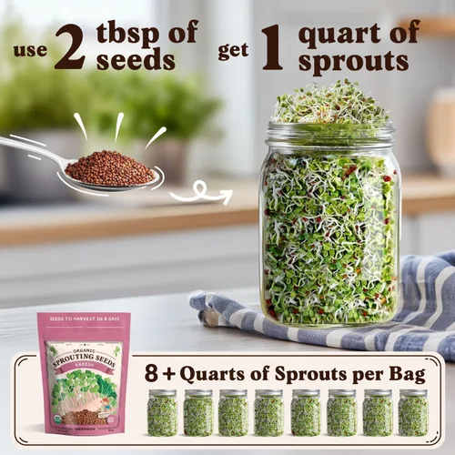 Miniatura 2 de Seedboy Semillas de rábano orgánicas sin GMO para brotes - Semillas de microverdes cultivadas en EE. UU. - Bolsa de 8 oz produce 8 cuartos / 24