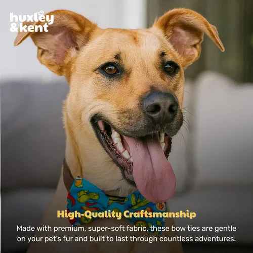 Miniatura 7 de Huxley & Kent Pajarita para mascotas Cinco de Mayo Velcro Bow Tie Collar Accesorio Divertidas pajaritas para perros y gatos Bonita, cómoda