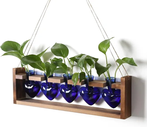 Miniatura 11 de Estaciones de propagación colgantes de terrario para plantas, regalo para mujeres, soporte para plantas de aire con soporte de madera, cristal