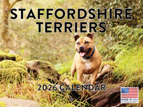 Miniatura 24 de Calendario de pared mensual 2025 Great Dane de 12 meses, fabricado en Estados Unidos