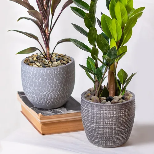 Miniatura 6 de YISZM Rocas naturales de río de 10 libras para plantas, grava de acuario de 3/8 pulgadas, guijarros mezclados pulidos decorativos para peceras