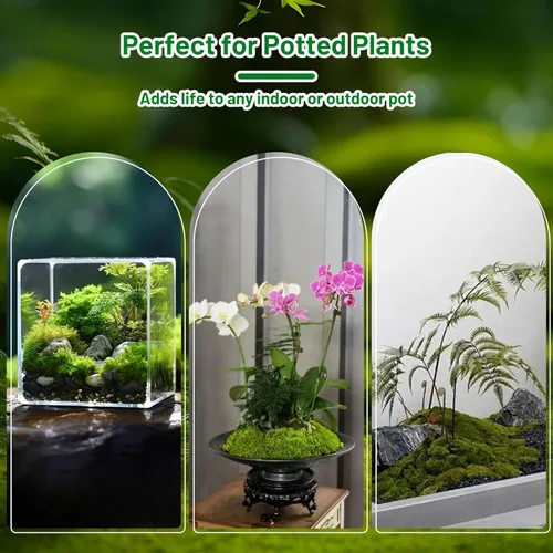 Miniatura 4 de Musgo verde artificial de 5.3 onzas para manualidades, musgo sintético para plantas de interior, arreglos florales, terrarios, decoración del hogar
