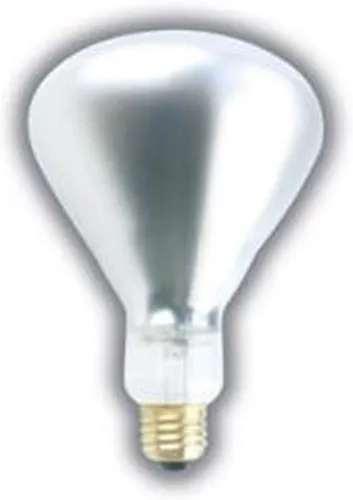 Paquete de 4 bombillas de calor infrarrojo R40 de 250 W, bombilla inastillable de 230 voltios, vidrio transparente, 6,000 horas, lámpara de calor