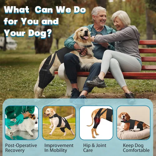 Miniatura 4 de Rodillera para perro para pierna trasera desgarrada, ajustable para pierna trasera con 5 estabilizadores, reduce el dolor, lesiones de ligamentos