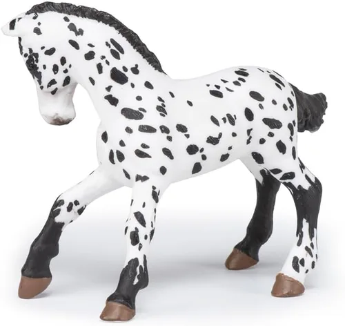Miniatura 5 de Papo - Figura realista de potro negro Appaloosa - A partir de 3 años - Colección de caballos y ponis - Mundo ecuestre creativo - Juguete de idea