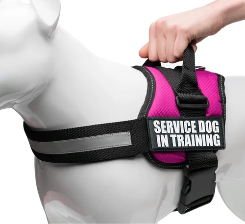 Miniatura 16 de Industrial Puppy Arnés de chaleco de entrenamiento para perro de servicio, chaleco duradero y ajustable con correas reflectantes, parches